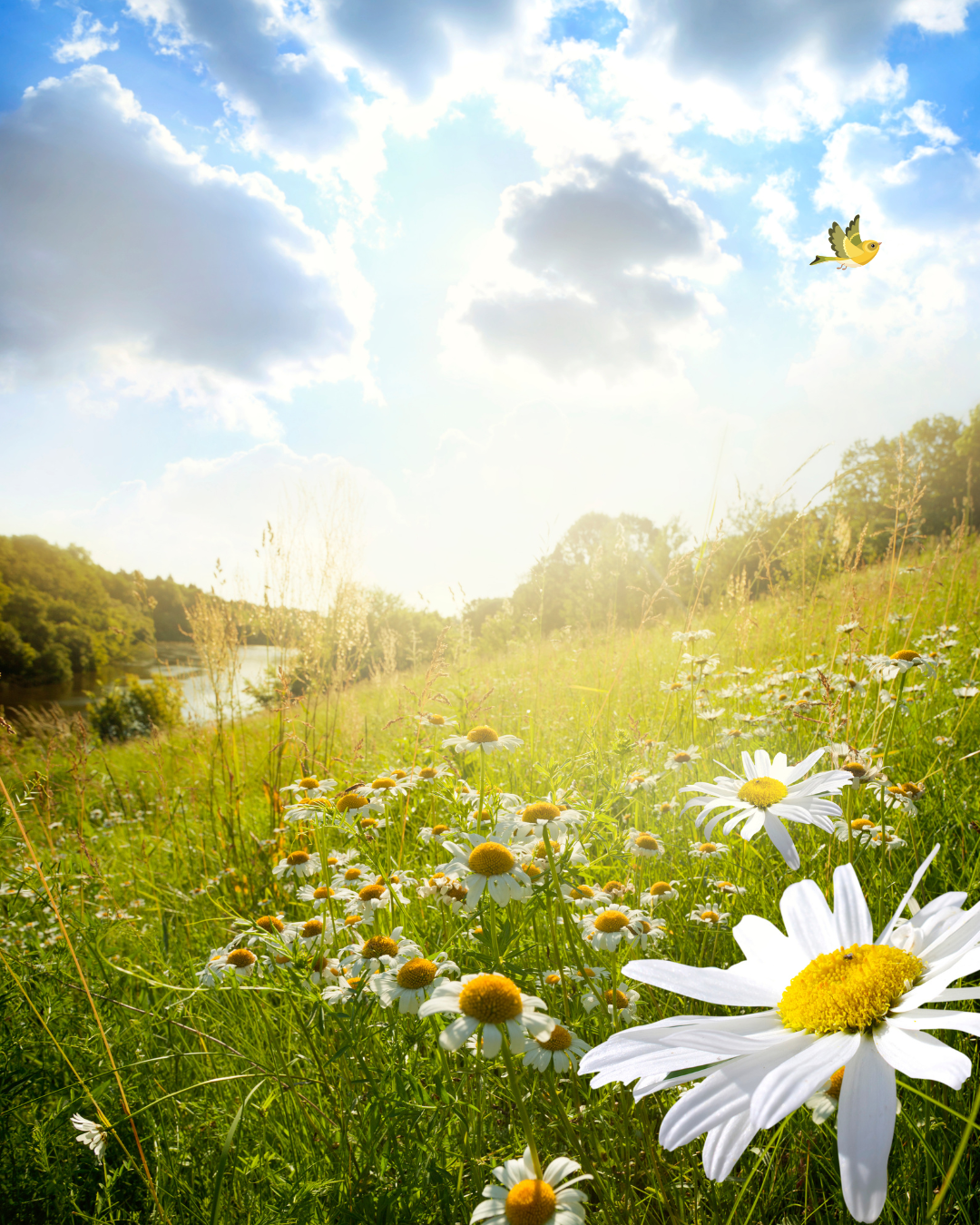 Clotilde Monteilhet sophrologue, libourne et coutras